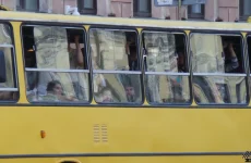 Трамваи-троллейбусы: сочетание электричества и тяги по рельсам